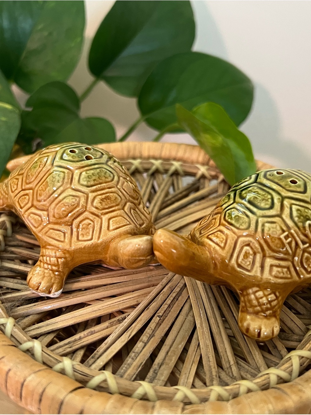 Ceramic Turtle Salt and Pepper Shaker Set - Brown/Green